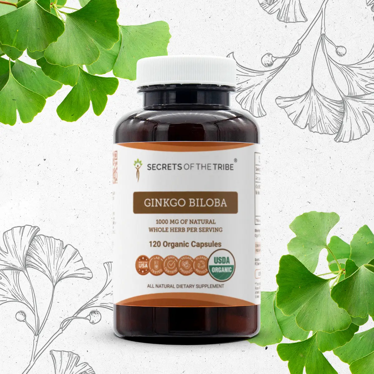 Ginkgo Biloba Capsules