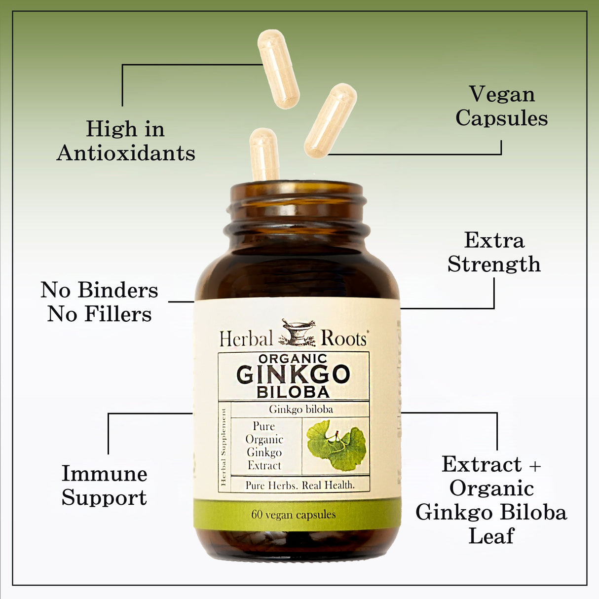 Organic Ginkgo Biloba