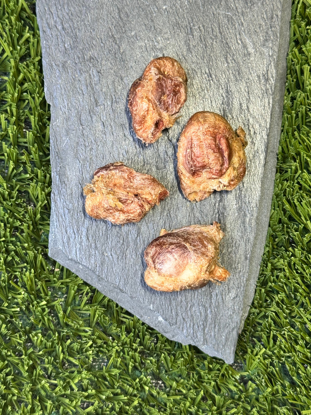 Freeze-Dried Quail Gizzards