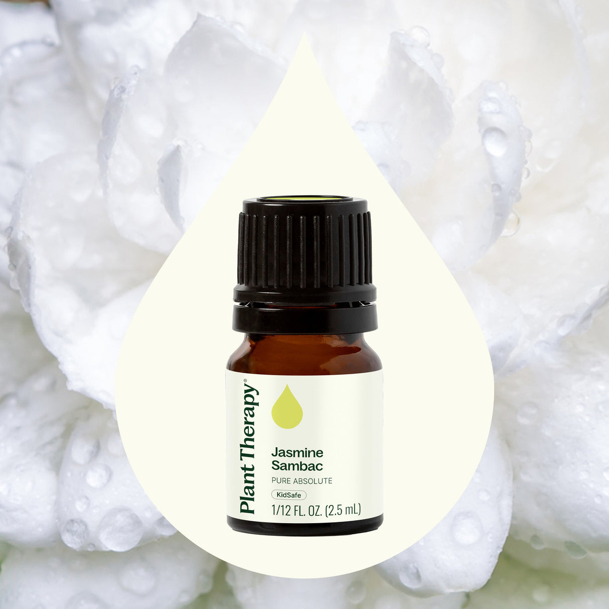 Jasmine Sambac Pure Absolute
