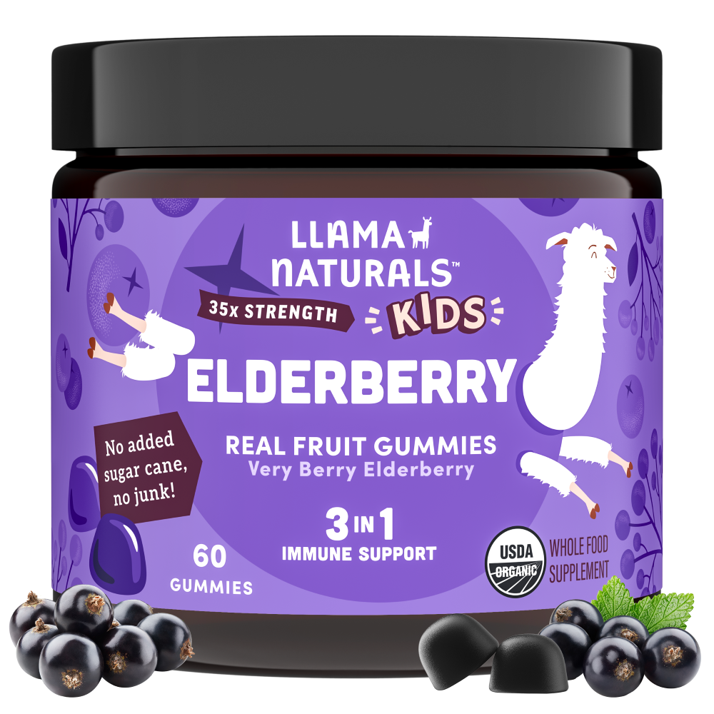 Kids Elderberry Immunity Gummies (60 ct)