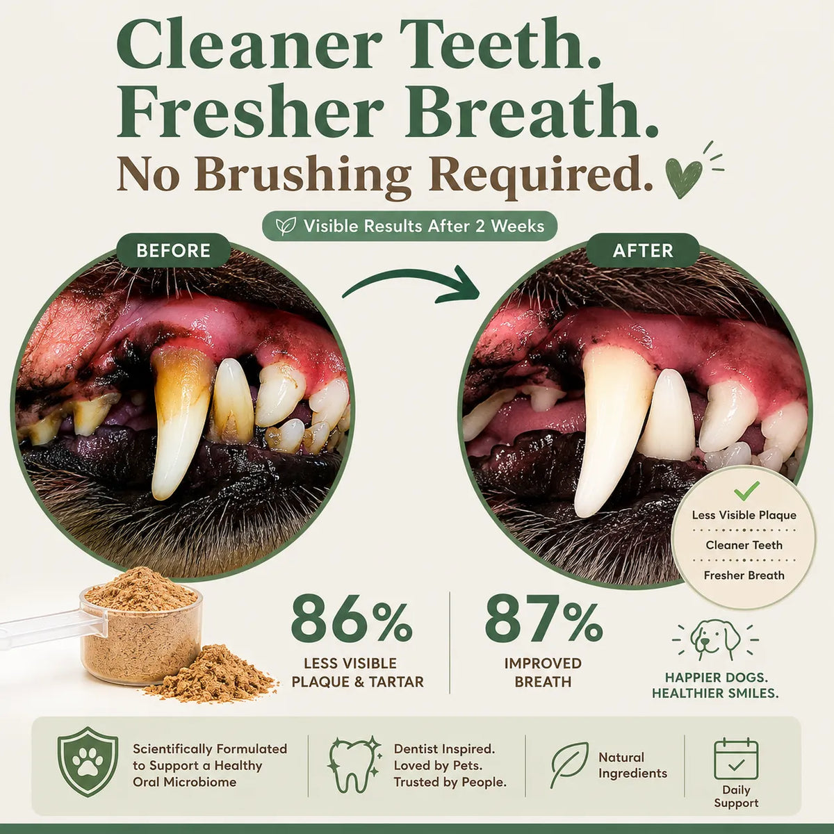 Daily Dental Defense