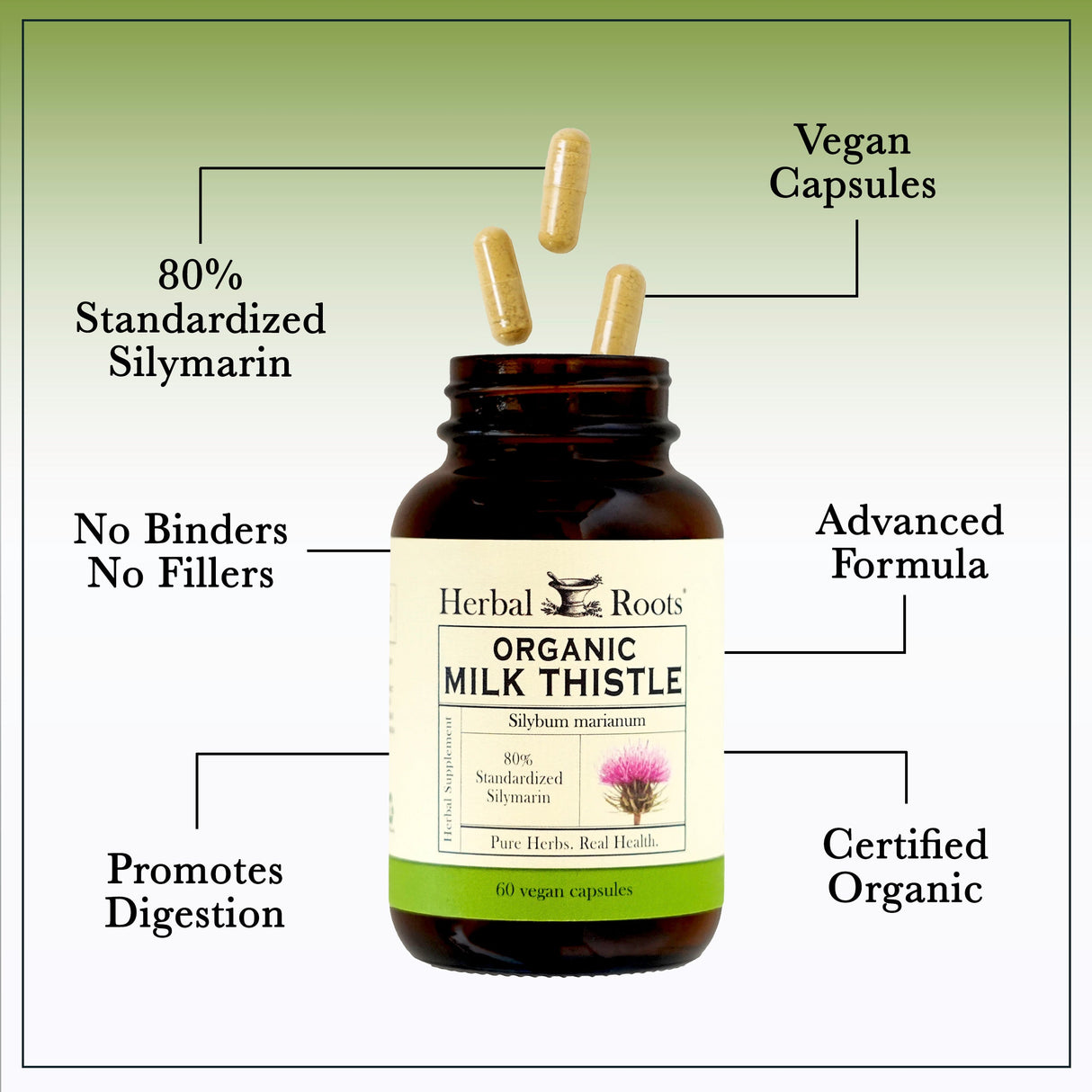 Milk Thistle