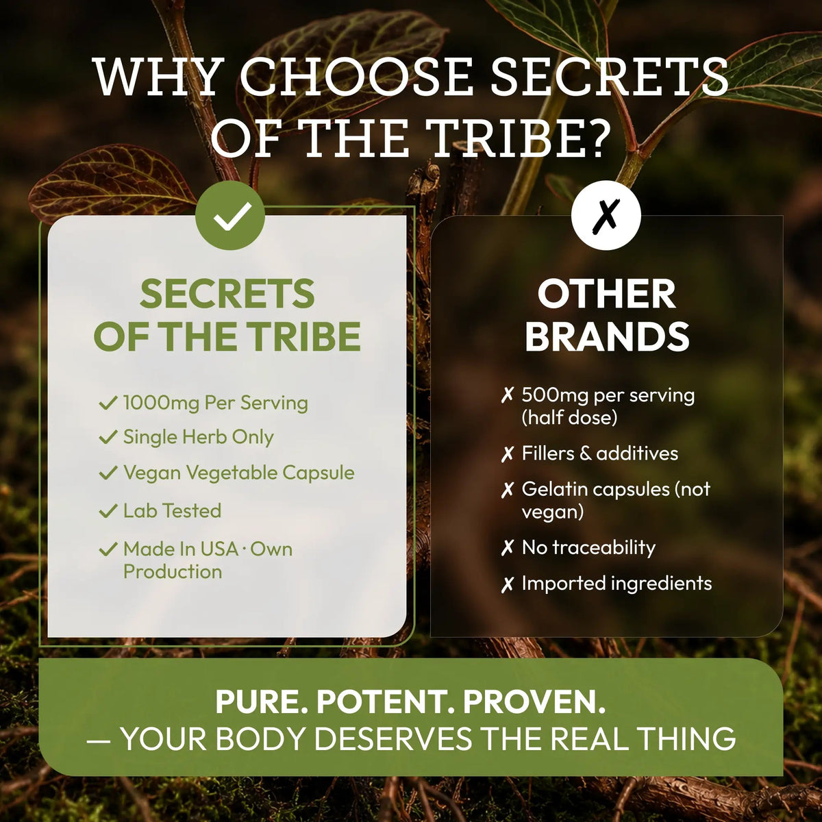 Secrets of the Tribe Red Root Capsules