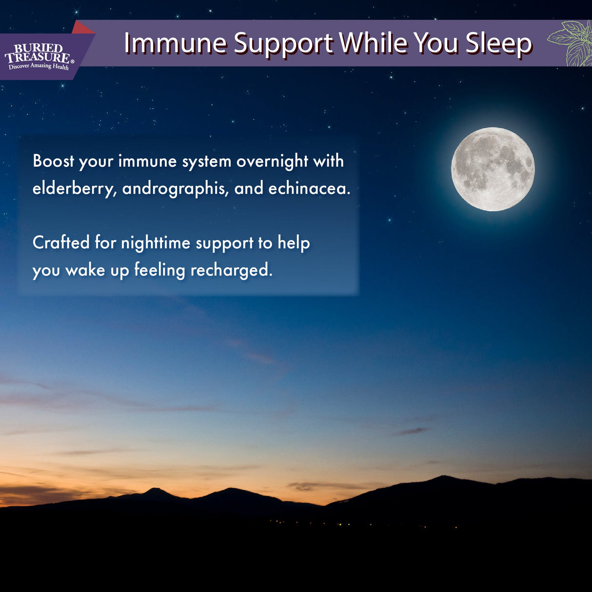 Buried Treasure Liquid Nutrients® ACF PM Extra Strength – Liquid Sleep Support Supplement with Melatonin & Botanicals