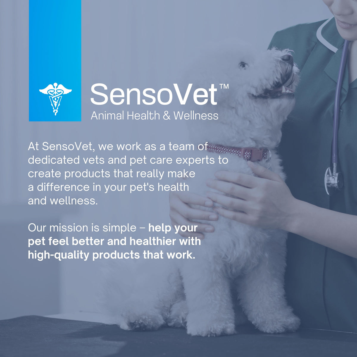 SensoVet Ear Wipes for Dogs & Cats - 100 Wipes