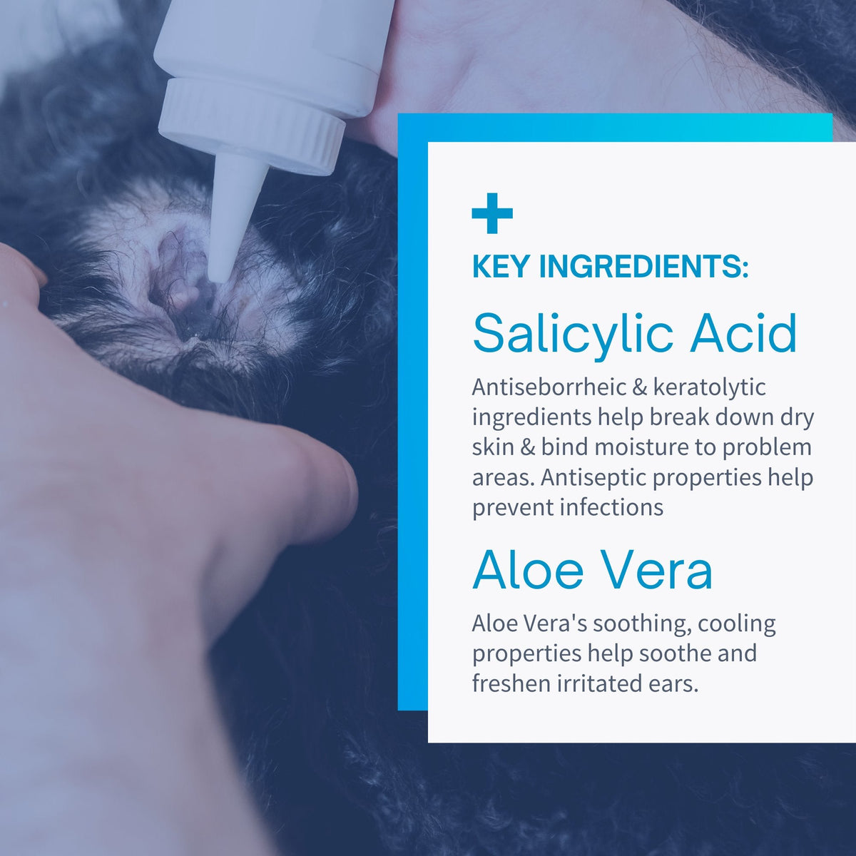 SensoVet Antimicrobial Ear Clean & Care Solution for Dogs & Cats - 8oz