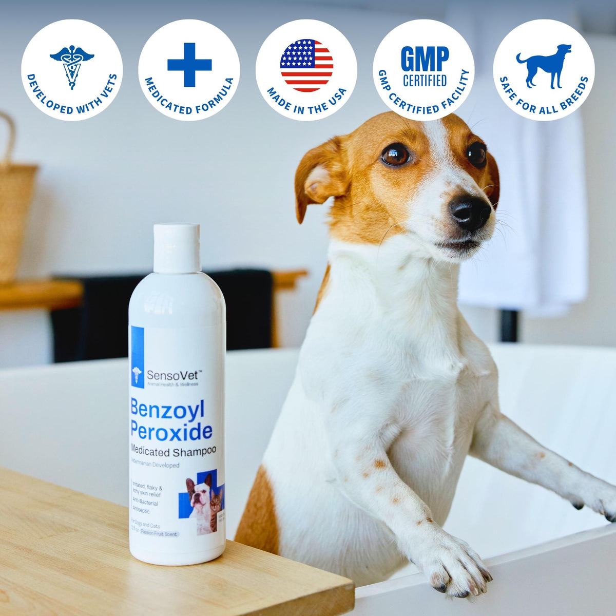 SensoVet Benzoyl Peroxide Shampoo for Dogs & Cats - 12oz