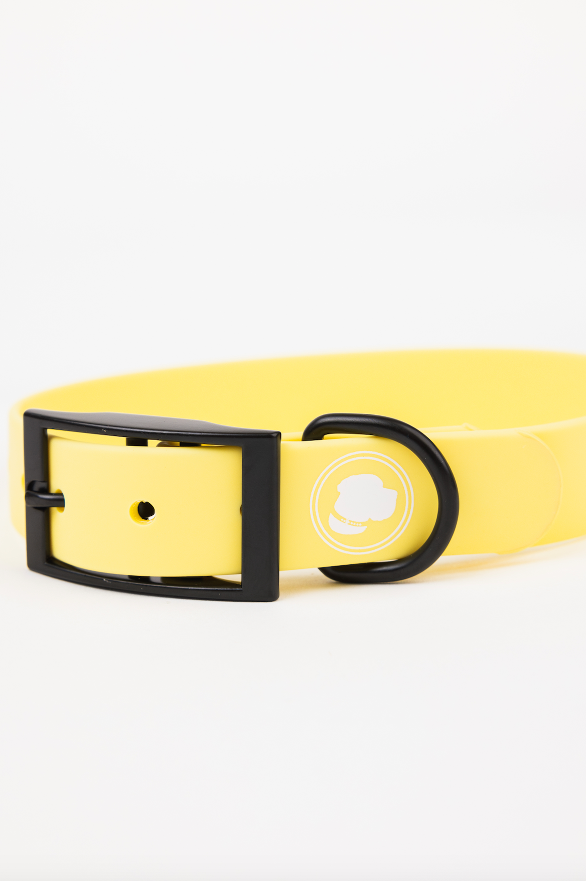 The Modern Dog Company - Daffodil Yellow Collar (Weather + Odor Resistant)