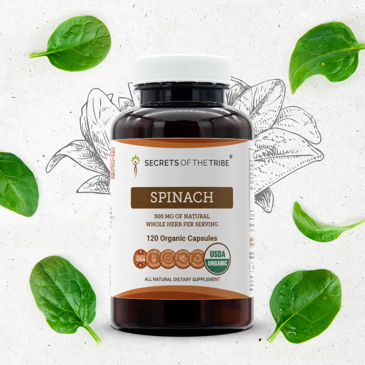 Spinach Capsules