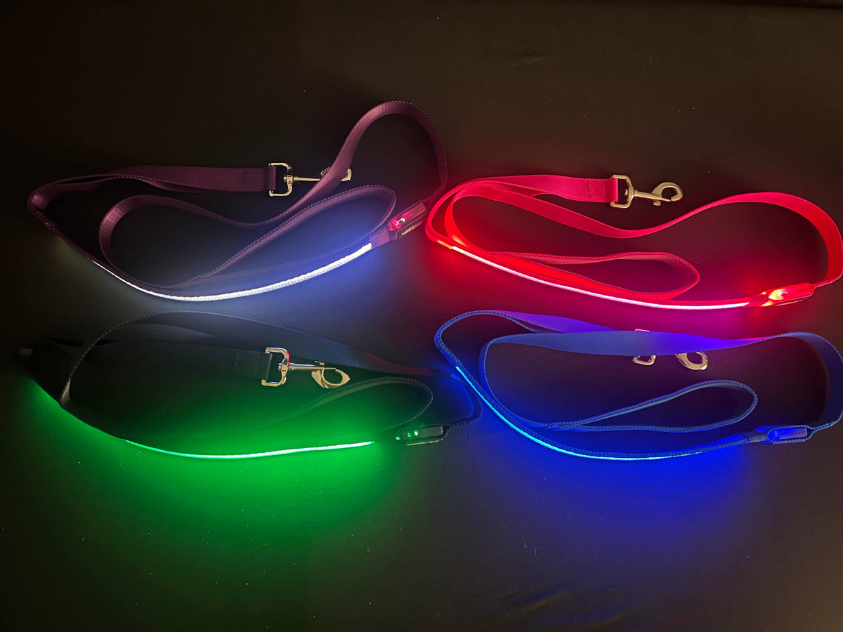 Light Up LED Dog Leash: Blue