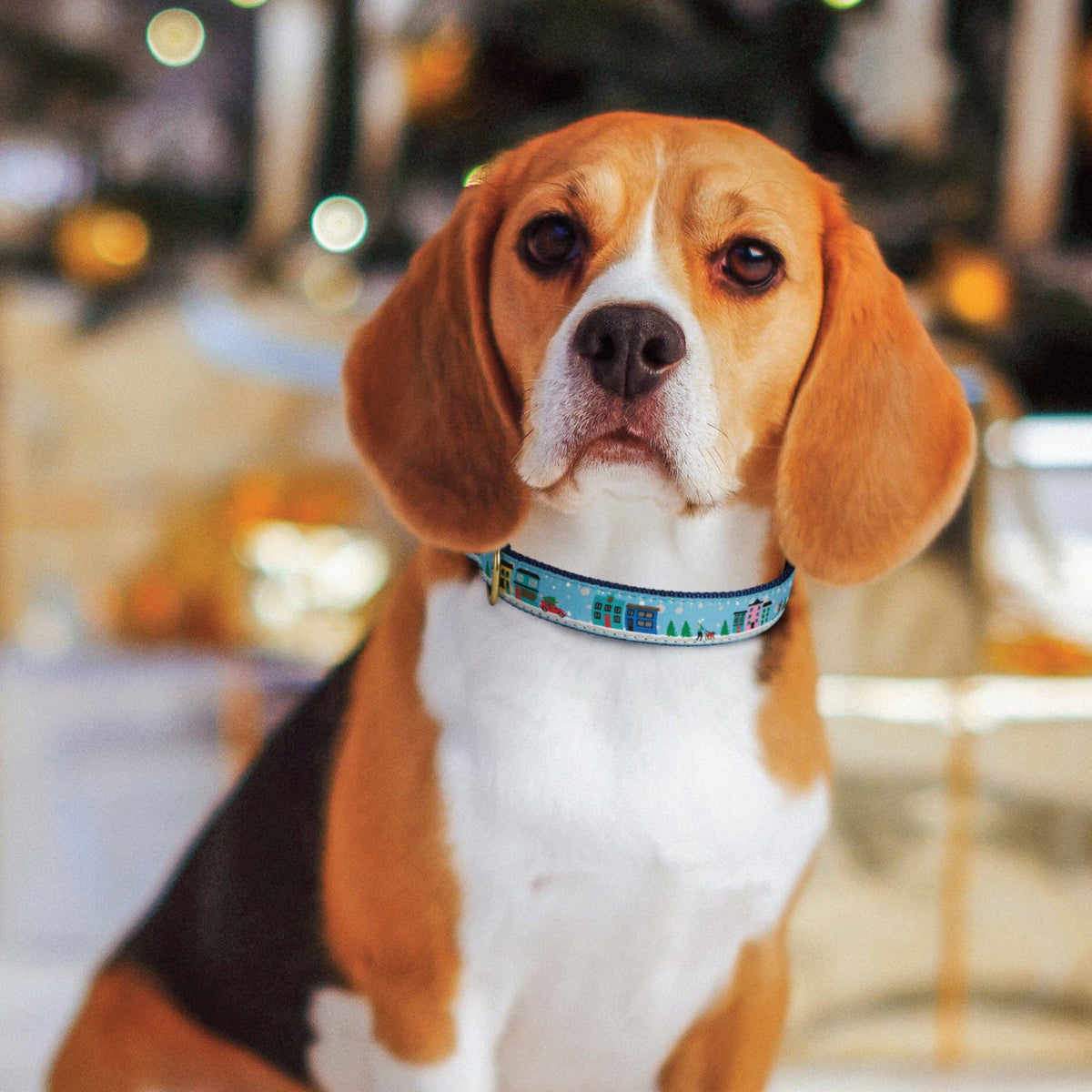 Lucky Dog Pet Company City Christmas Holiday Dog Collar: Small / Narrow