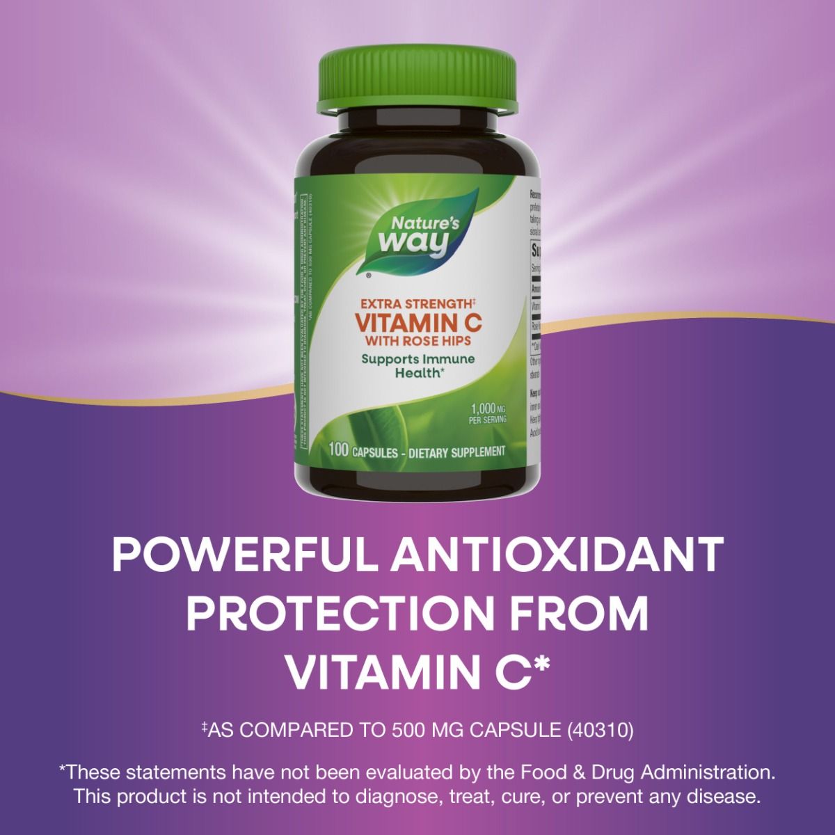 Vitamin C 1000-Rose Hips 100 Capsules
