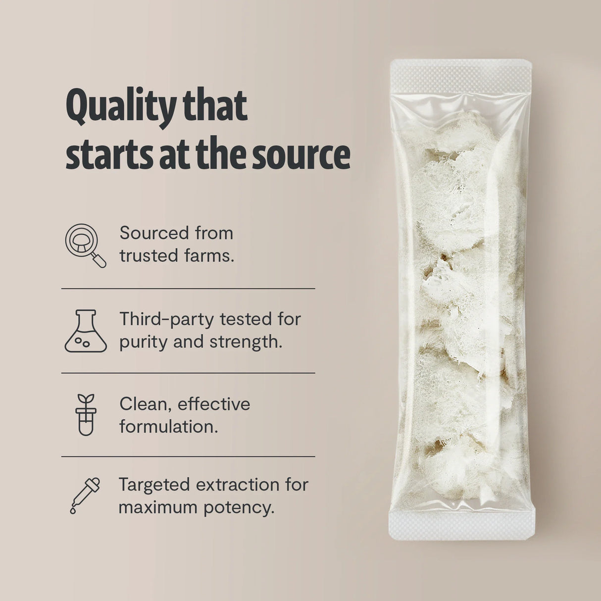 Organic Lion’s Mane Mushroom Powder