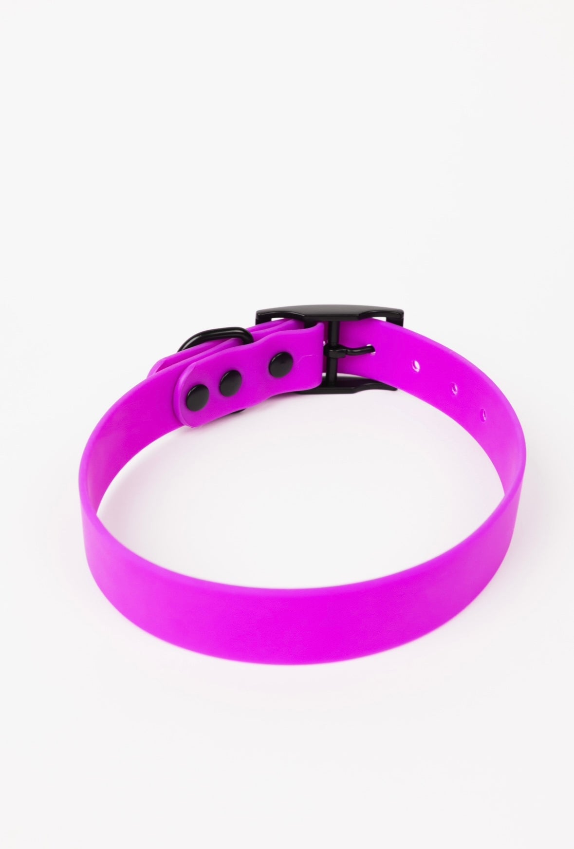 The Modern Dog Company The Modern Dog Company - Electric Fuchsia Collar (Weather + Odor Resistant)