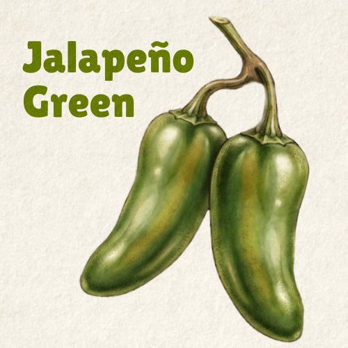Pepper Song Jalapeño Green Hot Sauce