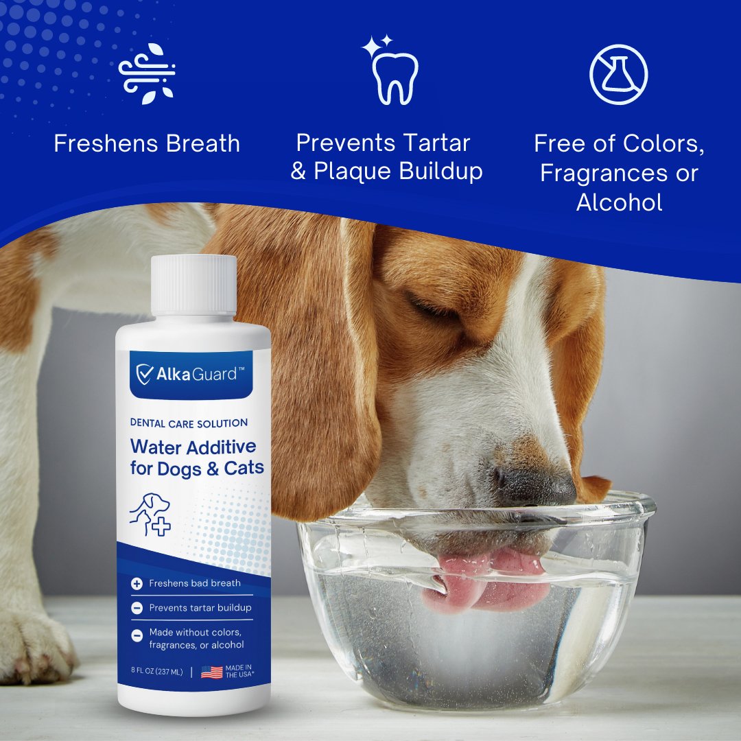 SensoVet Dental Water Additive for Dogs & Cats