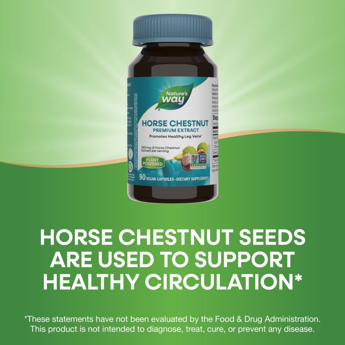 Horse Chestnut Extract 90Capsules