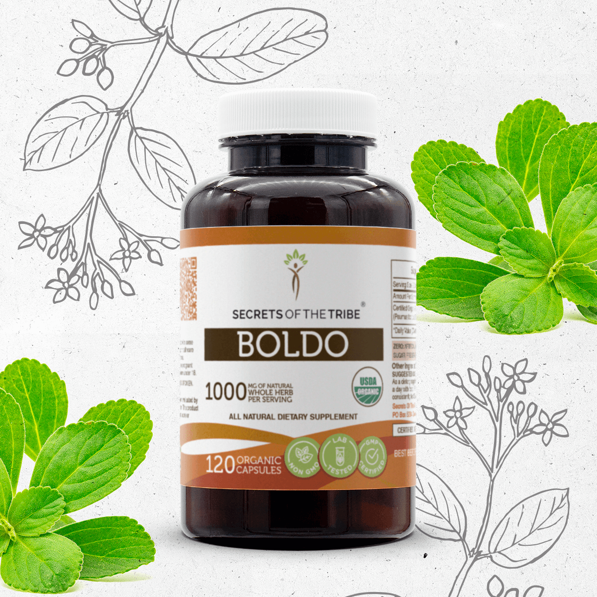 Secrets of the Tribe Boldo Capsules