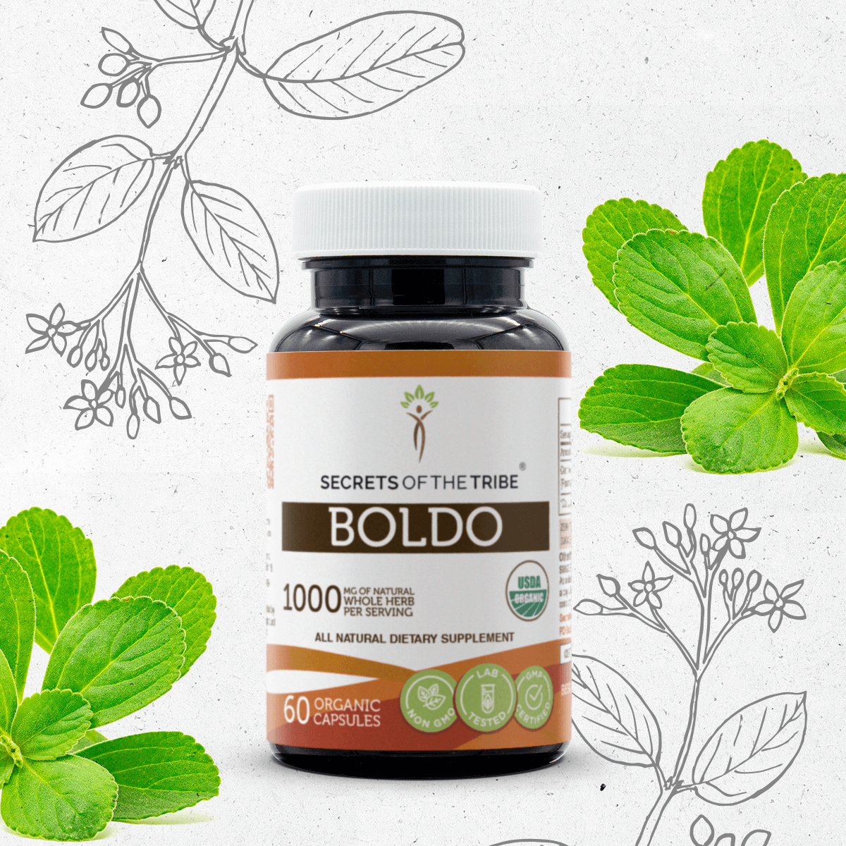 Secrets of the Tribe Boldo Capsules