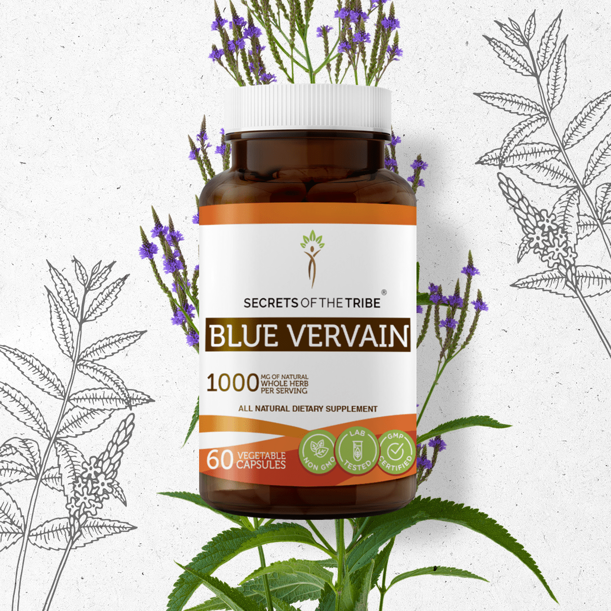 Blue Vervain Capsules