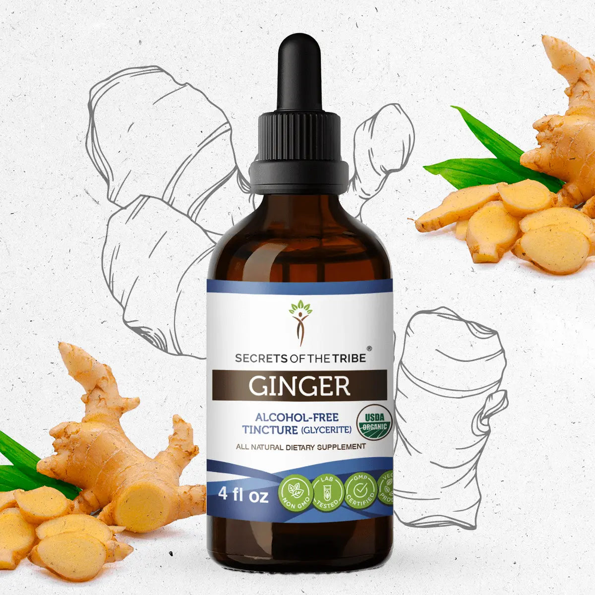 Secrets of the Tribe Ginger Tincture