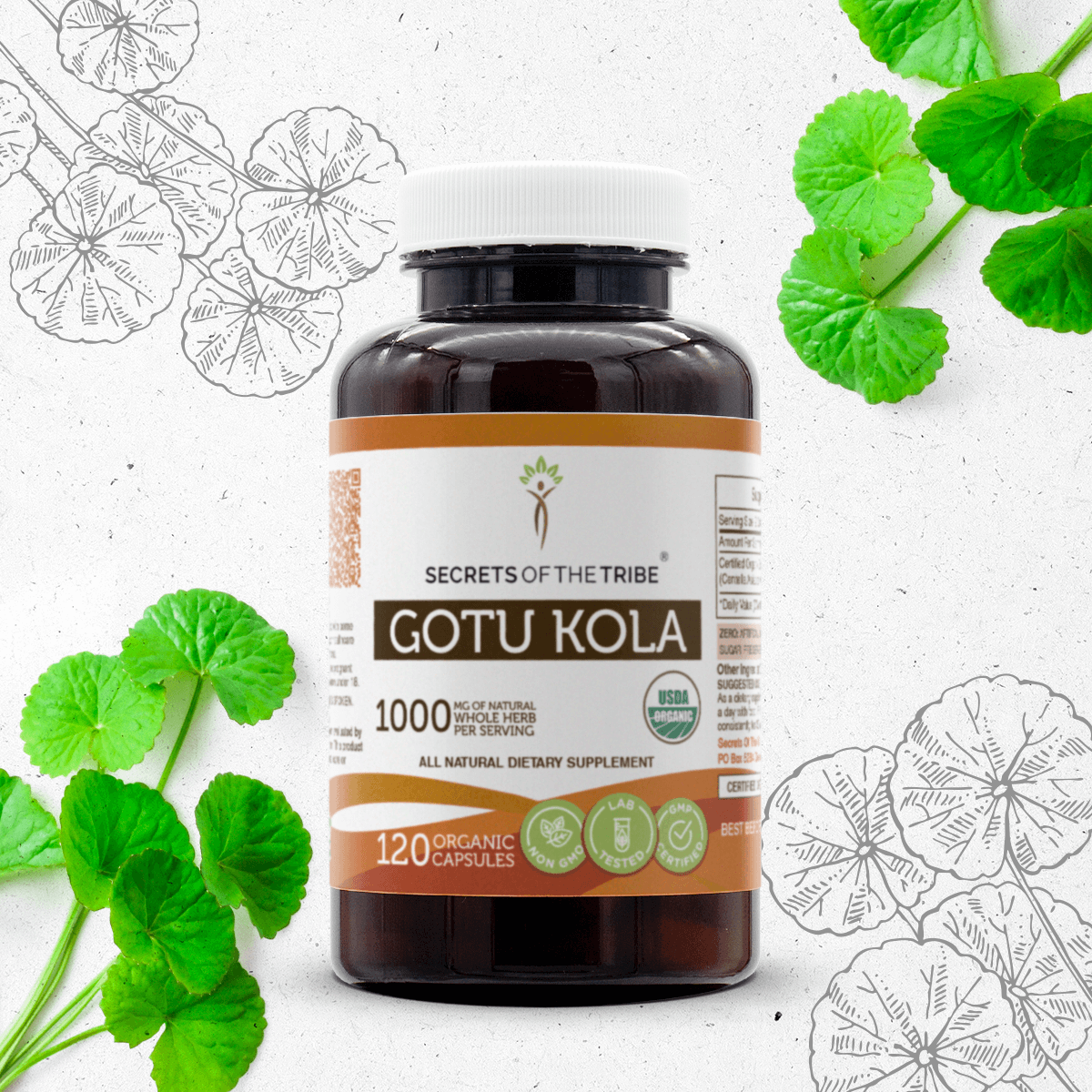 Gotu Kola Capsules