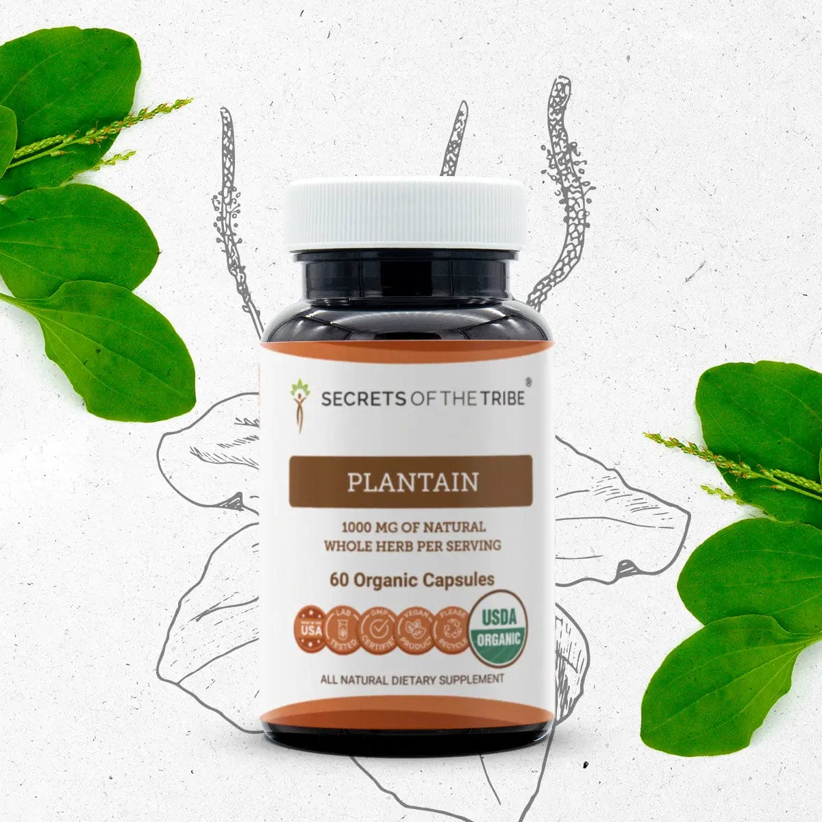 Secrets of the Tribe Plantain Capsules