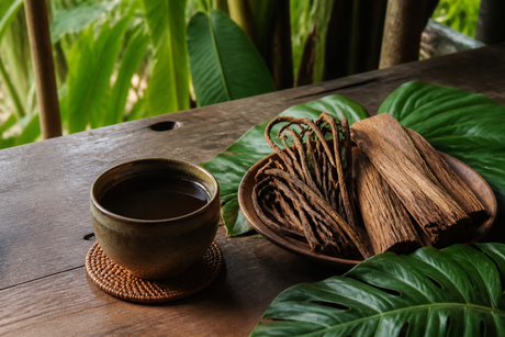 Ayahuasca: What It Is, Why People Use It, and Key Safety Risks to Know