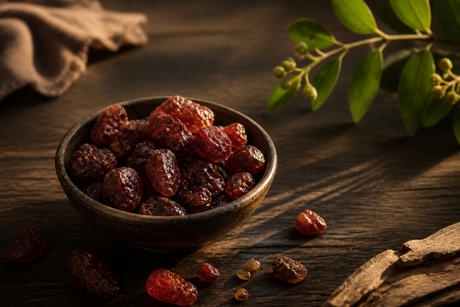 Dragon’s Blood Resin: Traditional Uses, Potential Benefits, and Safe Use Basics