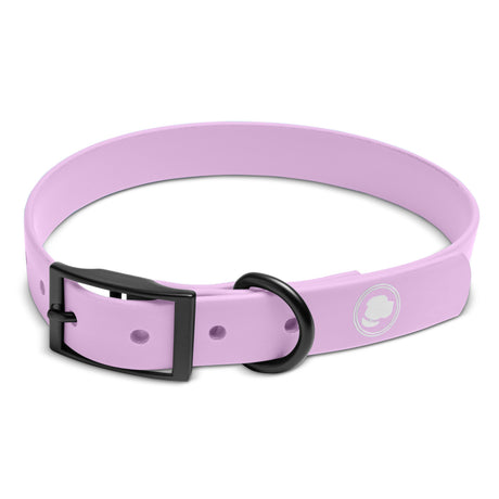 The Modern Dog Company The Modern Dog Company - Blush Pink Collar (Weather + Odor Resistant)