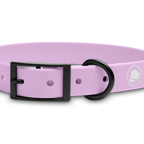 The Modern Dog Company The Modern Dog Company - Blush Pink Collar (Weather + Odor Resistant)