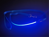 Light Up LED Dog Leash: Blue