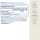 Liposomal Berberine 300mg - Capsules (60 count / 30 servings)