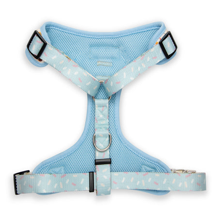 The Modern Dog Company The Modern Dog Company - Bottomless Brunch Harness