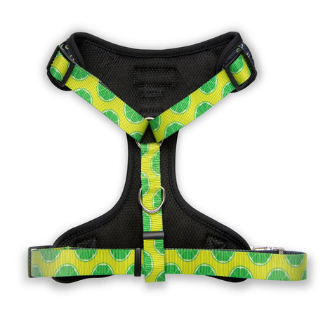 The Modern Dog Company The Modern Dog Company - Retro Taco Tuesday Harness