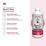 Buried Treasure Hard 2 Beet, 15:1 Concentrated Beetroot Juice Dietary Supplement, 16 oz, 48 Liquid Servings