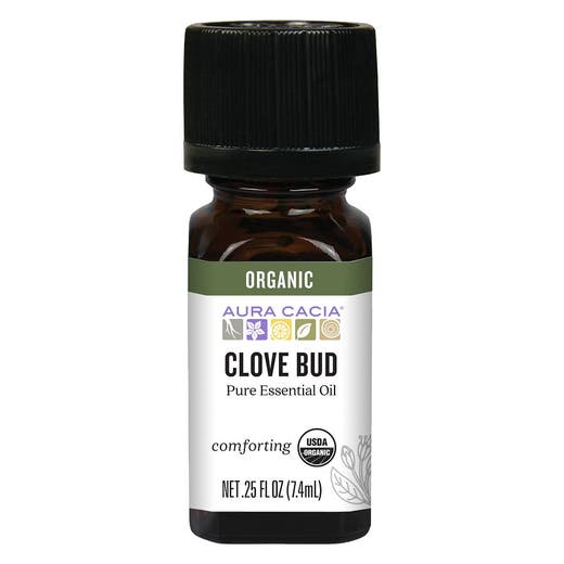 Organic Essential Oil - Clove Bud .25 oz Oil