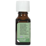 Essential Oil Sweet Basil .5 Fl. Oz. (15 Ml) Oil