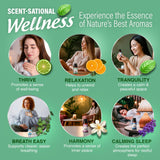 6 Essential Oil Blends Set, 10 ML