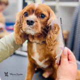 Groomer's Everyday Dog Comb - 7.5 Inch Essential Grooming To