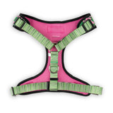 The Modern Dog Company - Pink Tropics Harness