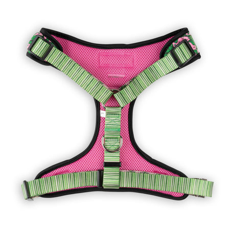 The Modern Dog Company The Modern Dog Company - Pink Tropics Harness