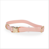 Waterproof Dog Collar | Pink