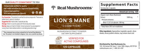 Lion's Mane Extract Capsules