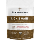 Lion's Mane Extract Powder