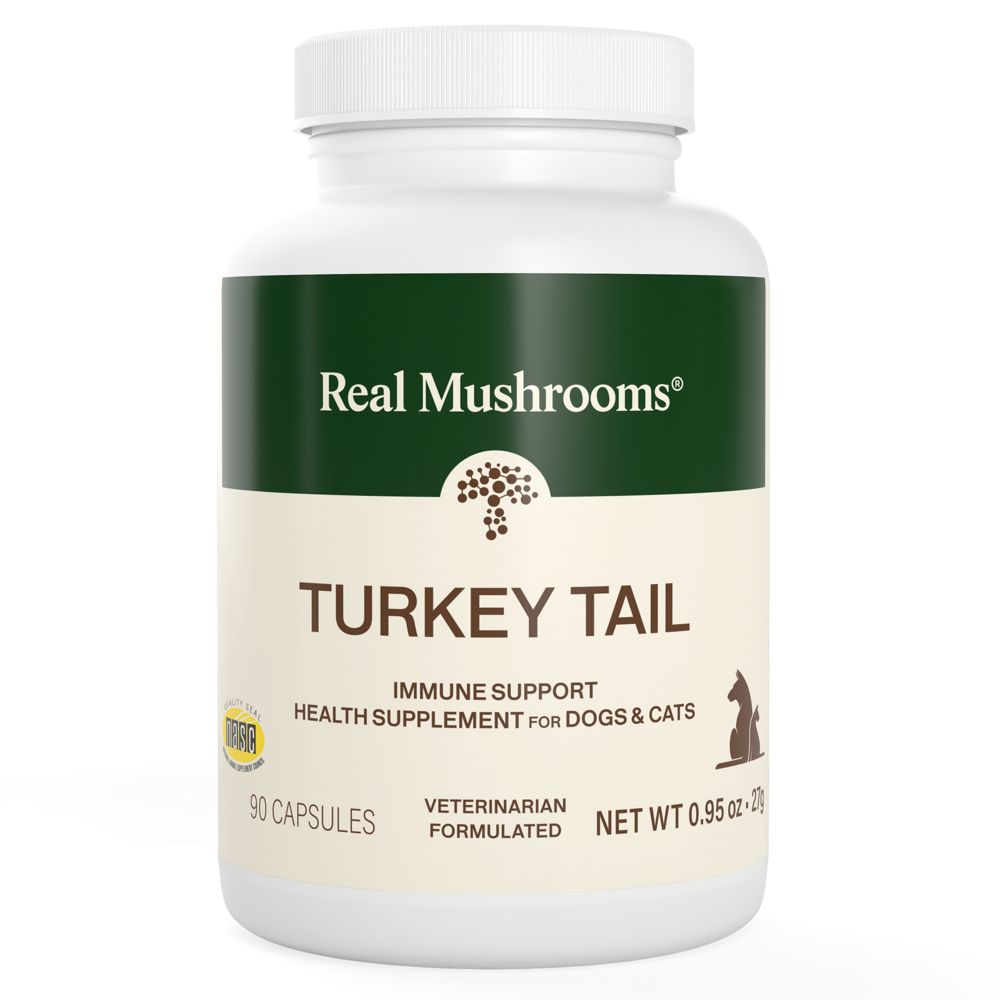 Real Pets - Turkey Tail (Immune Support)
