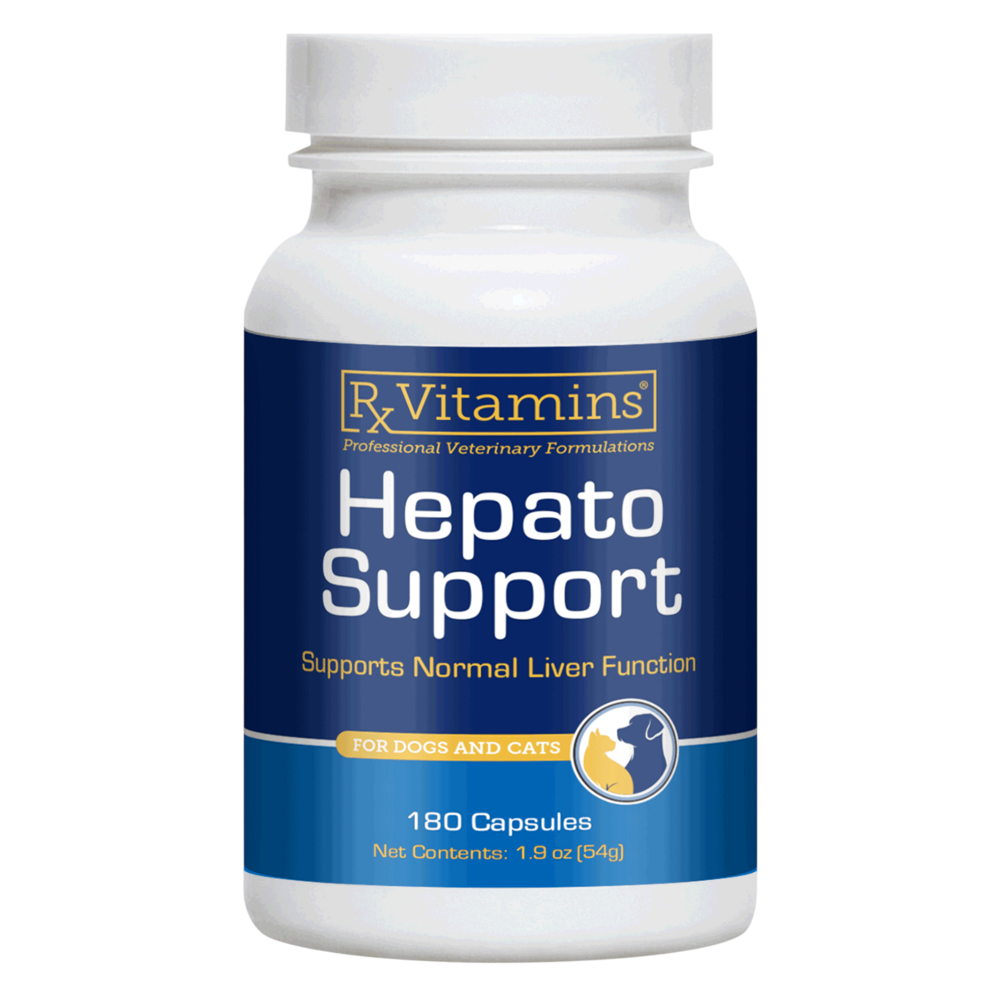 Hepato Support