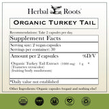 Organic Turkey Tail Mushroom