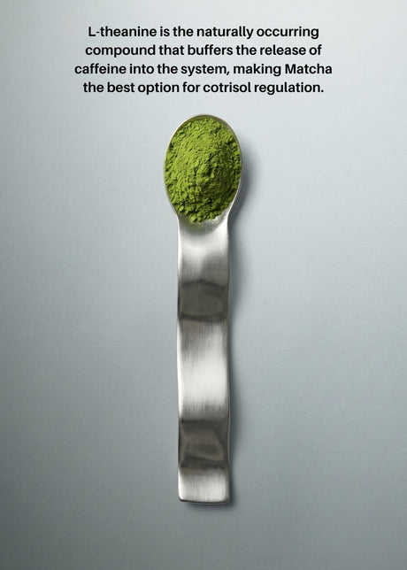 LAKA® Matcha™